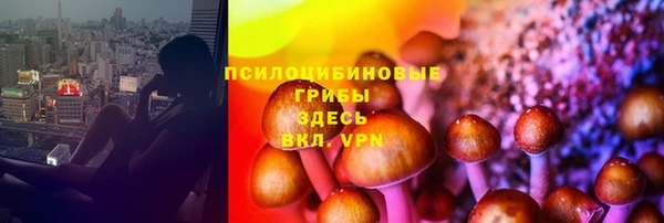 кокс Армянск