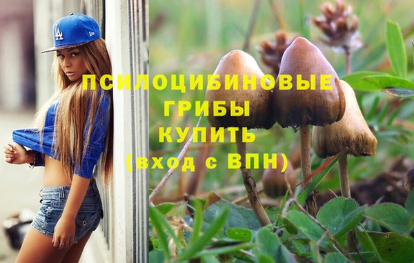 кокс Армянск