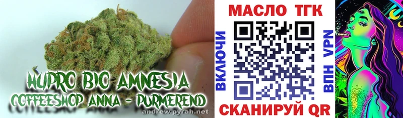 МЕГА зеркало  цены   Струнино  ТГК THC oil 