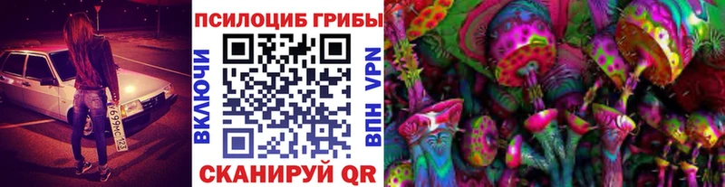 Псилоцибиновые грибы Psilocybine cubensis  Струнино 